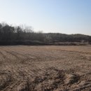 여주-1081 이미지