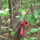 백양산체육공원 | 백플러스산3.부산해운대구_장산