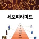 해독이 디톡스