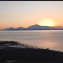 벌떡새우 이미지