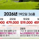 뉴스프링빌2 이미지