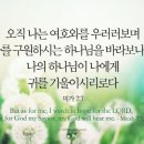 #미가