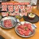 사랑의 교회 | 강남역 소고기 맛집 가성비 좋은 소갈비살 회식장소 (주차가능, 콜키지 무료) :: 모범갈빗살
