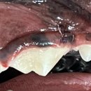 크라운 동물병원 이미지