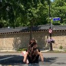 밝은빛2호 발전소 | 위아르보 성신여대 2호점 보영디자이너 애쉬브라운 솔직후기