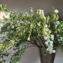 스웨이성형외과의원 이미지