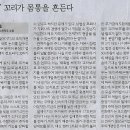 꼬리연구소 이미지