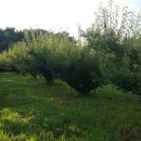 종주농장 이미지