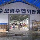 보령수산업협동조합 이미지