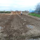 수호농장 이미지