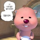 (유)비상렌트카 | 초여름 제주