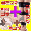 척추근육강화기 이미지