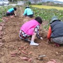 용현자연휴양림 이미지