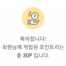 라비타돌체 이미지
