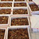 동해-단속-25 이미지