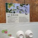 (주)설다원