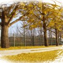 광시중학교 이미지