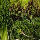 은기농장 이미지