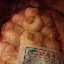 마늘이 날아왔어요.