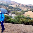 대가야소고기국밥 네이버블로그