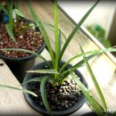 진성산전 이미지