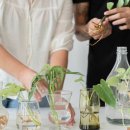 고온환경자원 이미지