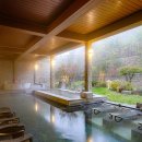 매일온천 | 소노벨 청송 솔샘온천 할인 &amp; 빠띠오 사과닭강정 내돈내산 가족여행 후기!