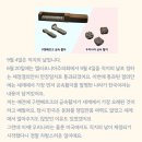 정현학원