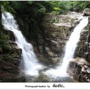 신선1호 이미지