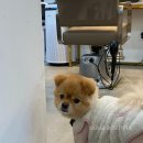 예닮헤어 이미지