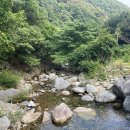 사나사주차장 | 양평 사나사 계곡 후기 – 서울 근교 숨은 계곡 여행지 추천!