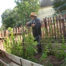 쌀밭나드리 이미지