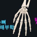 힐린필라테스