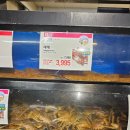 [롯데마트] 찜을 해주는 ‘대게’리뷰 (내돈내산, 솔직후기)