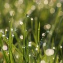 자작마을 이미지