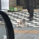 국수나무천안와촌점