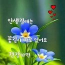 관악정육점 이미지