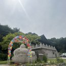 곧바로병원 | 임신기록 26-27주 태아뇌실확장 소견 서울아산병원 고대안암병원 솔직 비교 후기