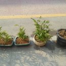 미림목장 이미지