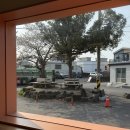 낭뜰에쉼팡 | [제주] 녹산로 유채꽃도로, 백약이오름, 낭뜰에쉼팡, 무우수 커피