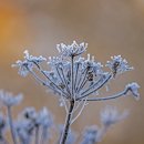 여울소리 오토캠핑장 이미지