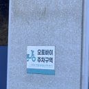 빛향