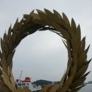 올리브원 이미지