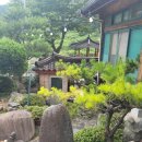 지리산정자나무펜션 이미지