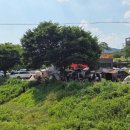 로그인편의점 안성고삼점 이미지