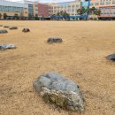 대전상원초등학교 이미지