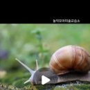 모아미술교습소 이미지