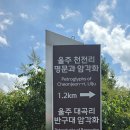 울산 울주군천전리 청동기시대에 있는암각화 이미지