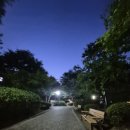신원동 울타리작은도서관 | 제4회 야夜한, 플로깅 계양구 자원봉사 후기｜야한 플로깅에서 발견한 도심속 쓰레기의 현실