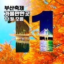 부산광역시 남구 대강당 | 부산 11월 축제 행사 꽃구경 가볼만한곳 모음 2025